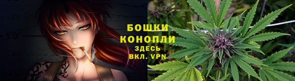 мет Ладушкин