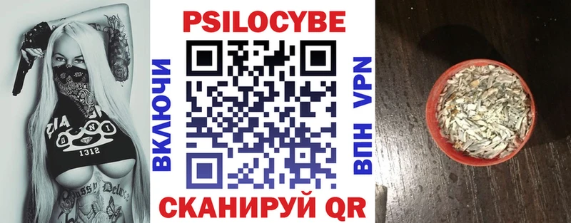 цены   Махачкала  Галлюциногенные грибы Cubensis 