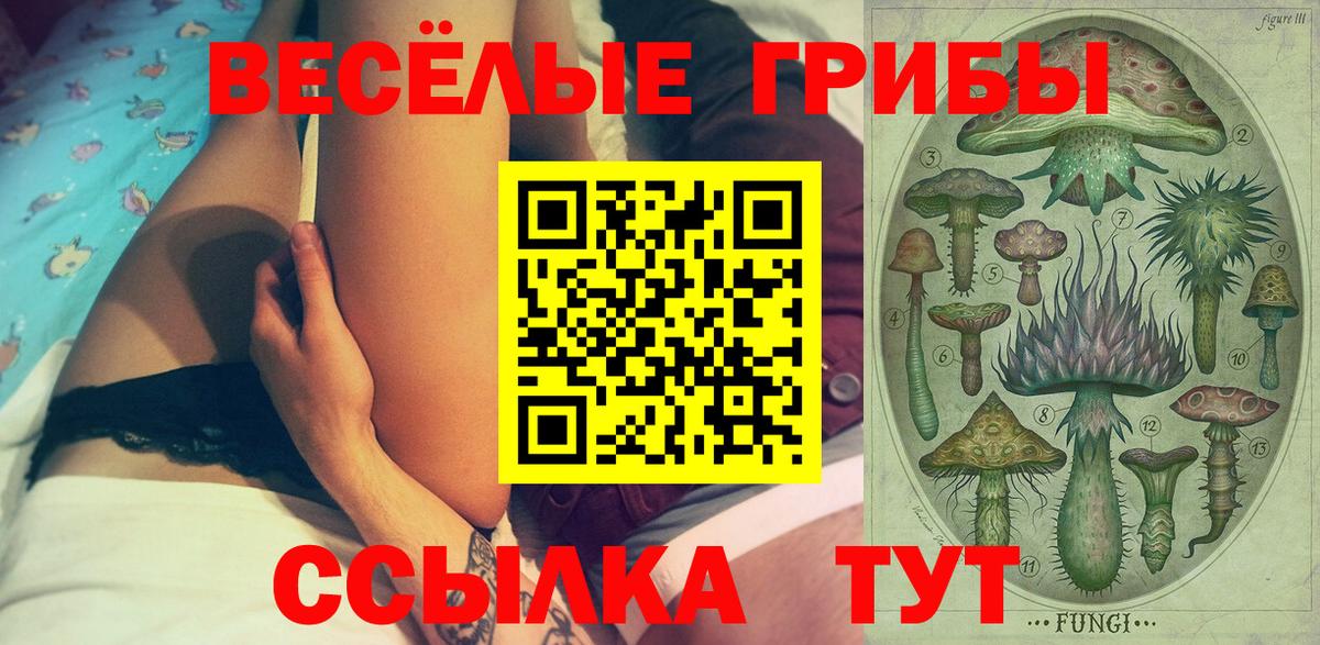 Галлюциногенные грибы Cubensis Махачкала