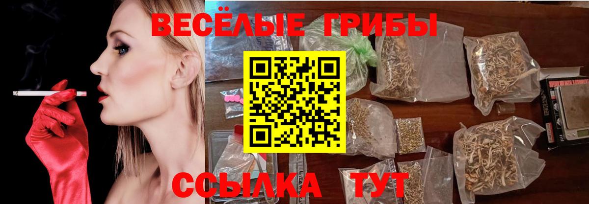 Псилоцибиновые грибы прущие грибы  Вход с VPN  Псилоцибиновые грибы MAGIC MUSHROOMS  Махачкала 